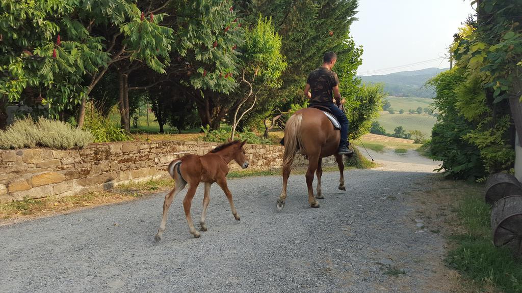 ריברגרו Agriturismo Corte Del Gallo מראה חיצוני תמונה